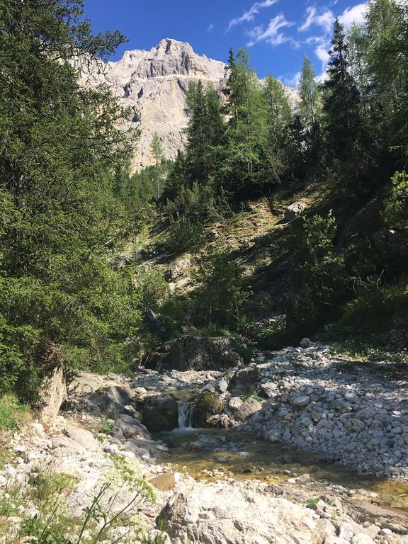Hotel Meisules سيلفا دي فال جاردينا المظهر الخارجي الصورة